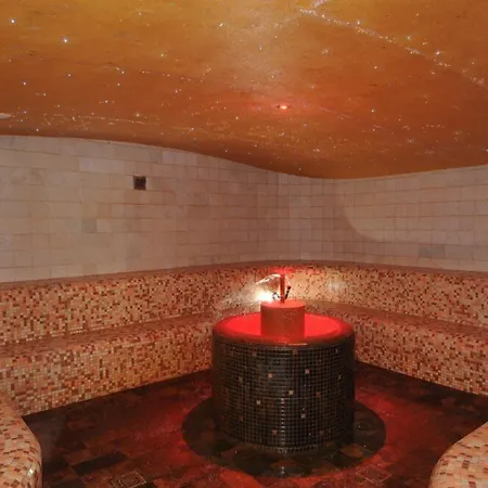 Petrarca Terme Otel Montegrotto Terme