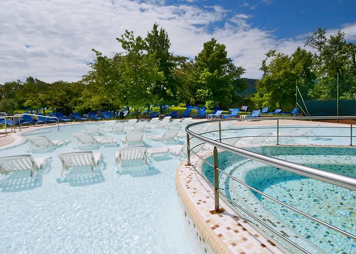 Hotel Petrarca Terme 4*