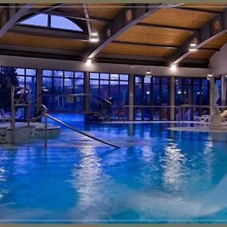 Petrarca Terme 4* モンテグロット・テルメ