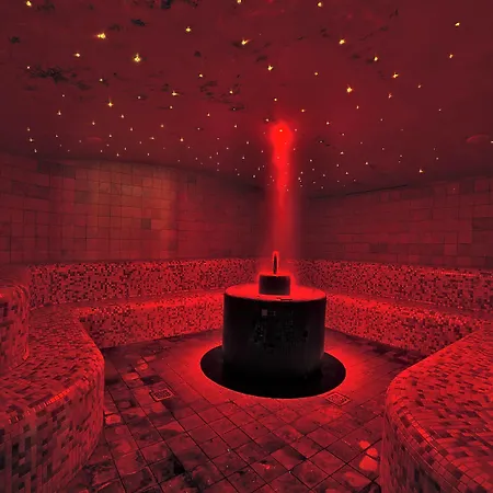 Petrarca Terme Hotel 4*