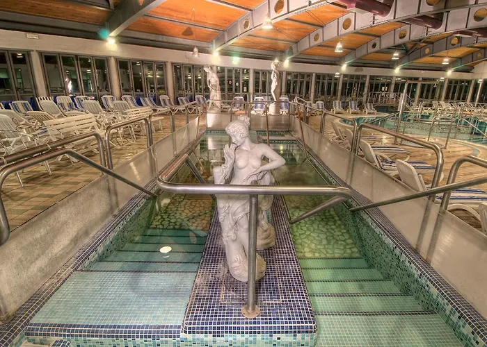 מלון Petrarca Terme 4*