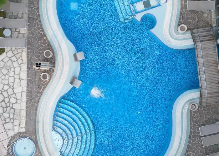 Petrarca Terme 4*
